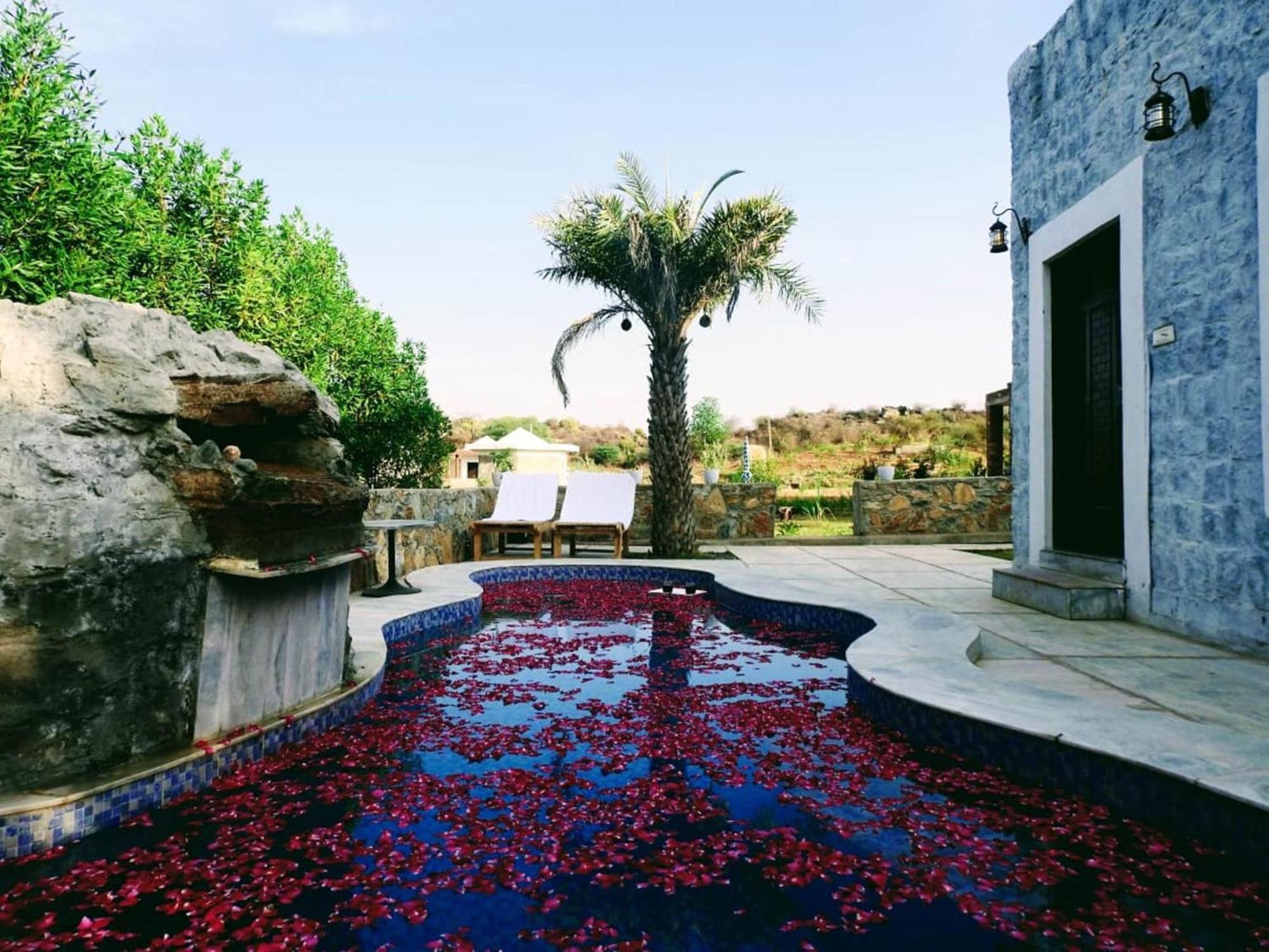 Jawai Wildlife Safari Camp Bed and Breakfast Nana Esterno foto