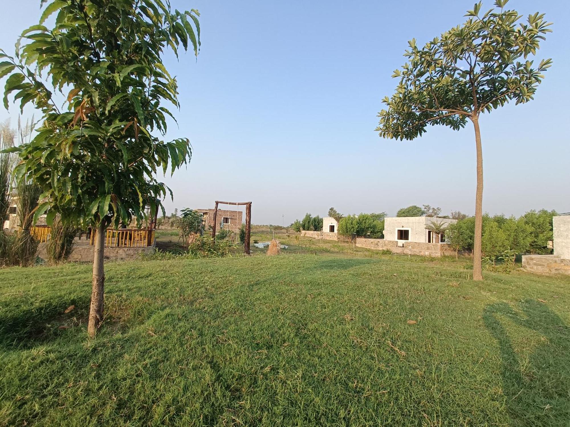 Jawai Wildlife Safari Camp Bed and Breakfast Nana Esterno foto
