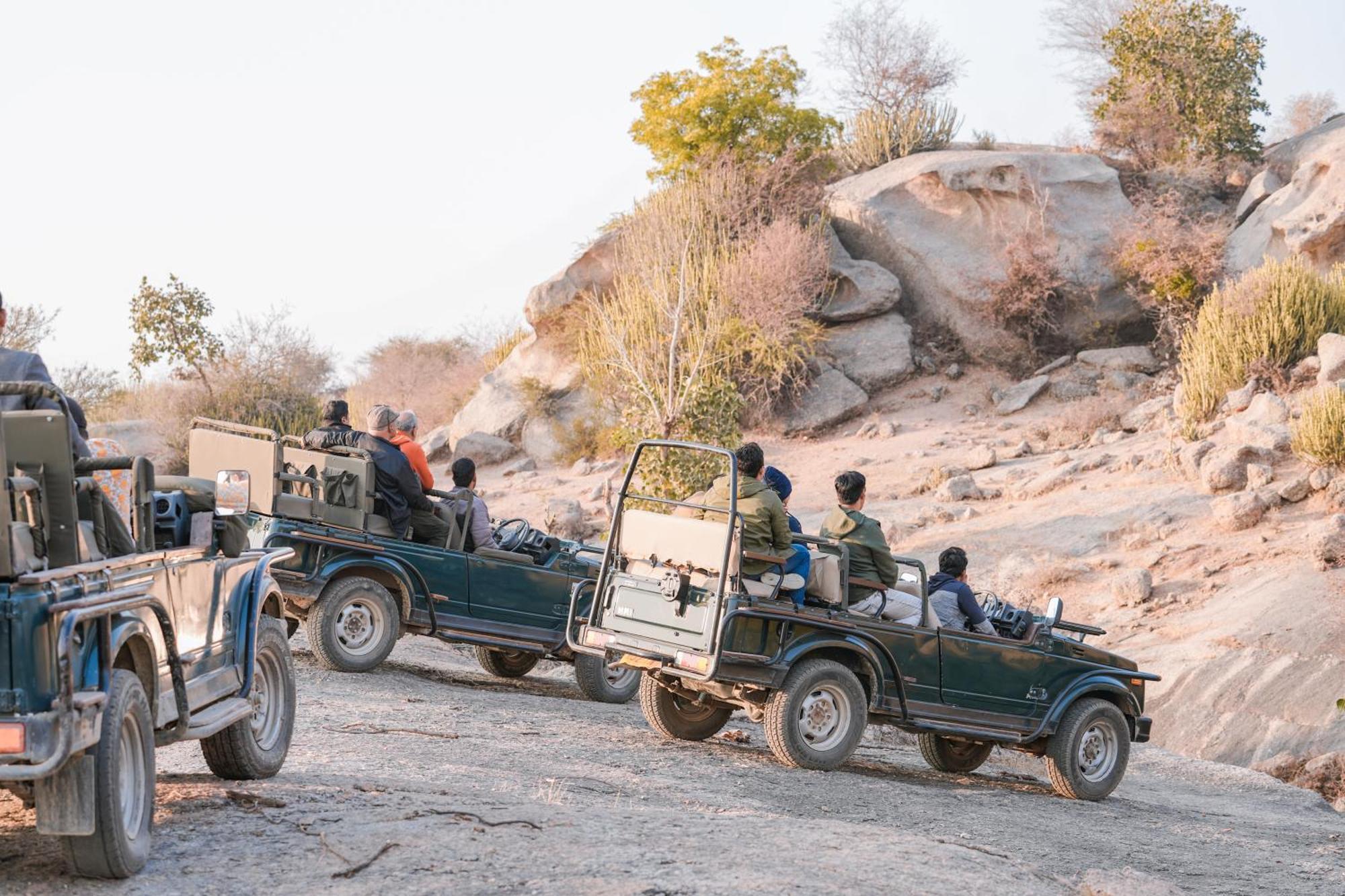 Jawai Wildlife Safari Camp Bed and Breakfast Nana Esterno foto